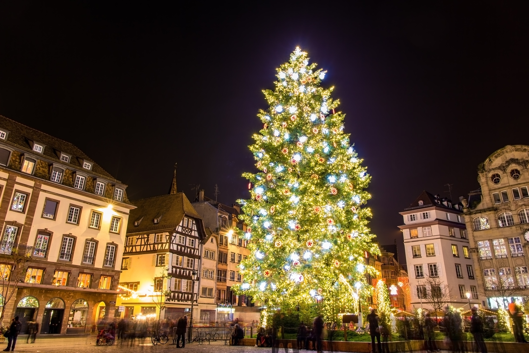 Christmas Tree in Strasbourg